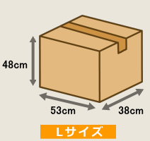ダンボールLサイズ